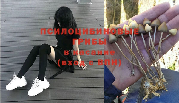 кокаин колумбия Каменногорск
