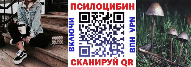 Галлюциногенные грибы Psilocybe  Купить  Фрязино 